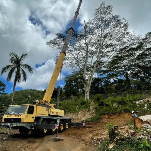 Crane Services With Operator In Hawaii