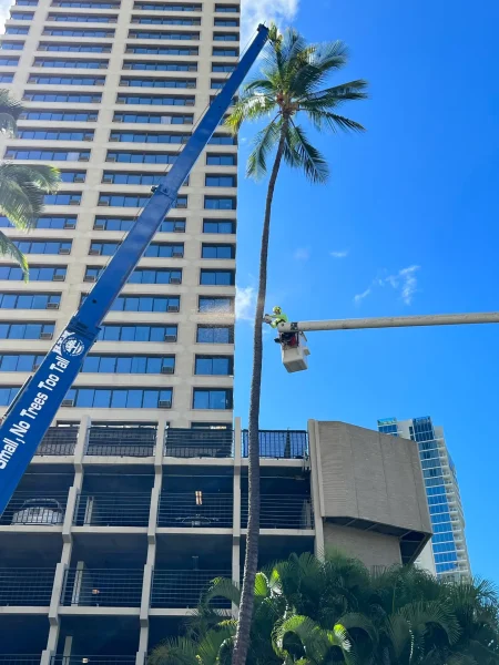 Crane Services With Operator In Hawaii