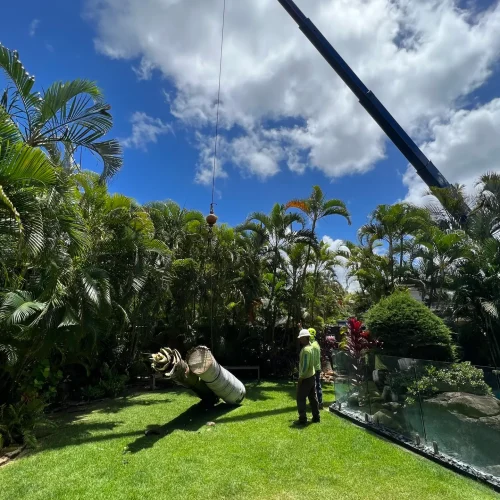 Crane Services With Operator In Hawaii